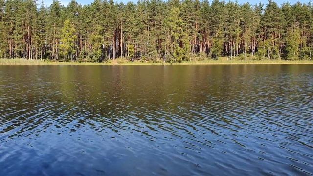 озеро Боруй великолепное место для душевного отдыха | "Валдайский уезд"