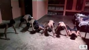 Ready to be Indian Army small boys