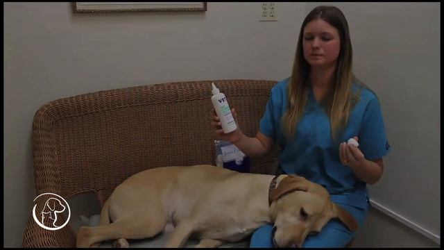 Bay Ridge Animal Hospital's "How To" Pet Home Care & More:  Dog Ear Cleaning смотреть онлайн