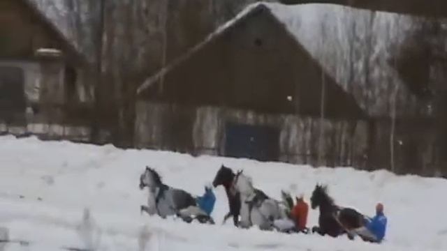 Приз Русская Зима смотреть онлайн