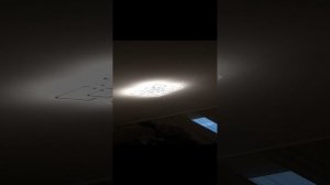 V41222-152411.mp4