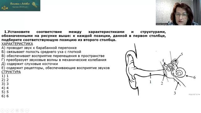 ЕГЭ вопрос 13 14 вк