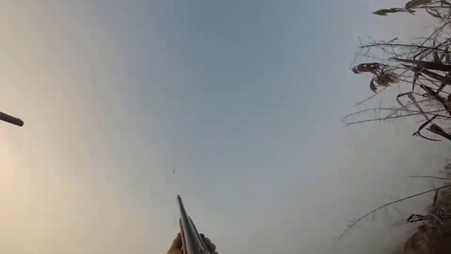 Румыния (декабрь 2014). Охота на гуся.№3 смотреть онлайн