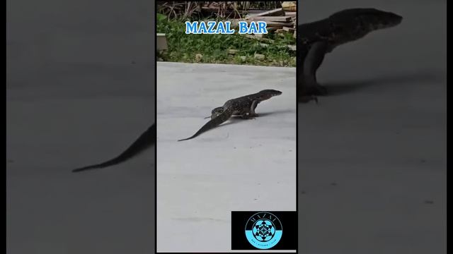 VARAN &RESTORANT смотреть онлайн