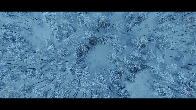 /2022-02-13/ Winter Pine Forest /Demo-Video/ смотреть онлайн
