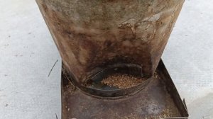 Кормушка из ведра для кур, кроликов и т. п.