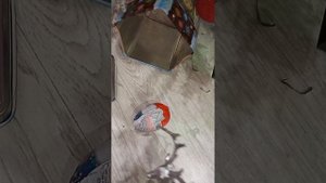 новогодняя распаковка kinder сюрпризом
🍩🫲☺️