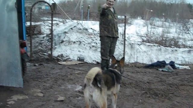 Дед и собачка с пищалкой.Обоим весело. смотреть онлайн