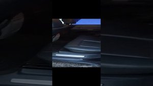 VID_20241217_152747.mp4