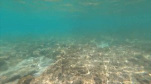 Cuba 2022 🇨🇺 | Iberostar Selection Holguin