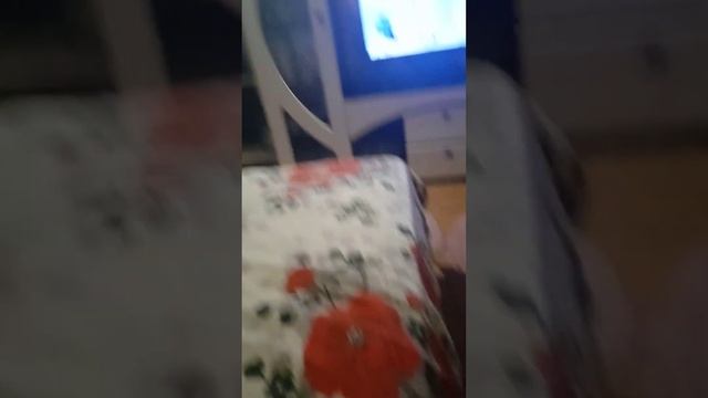 КУДА ПРОПАЛ ТЕЛЕКАНАЛ НИКЕЛОДЕОН ЧАСТЬ 2 (пожалуйста оставьте комментарий под видео)