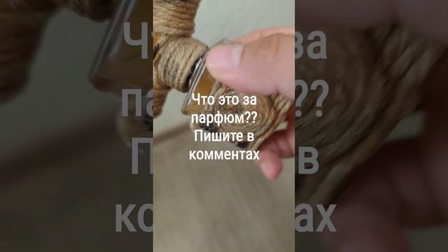 Что ты такое??? Нужна помощь зала!  #электропарфюмер #маркинэлектропарфюмер  #маркинпарфюм