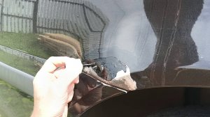Покраска сколов. Первый опыт и отзыв.