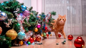 Свежие приколы 2024 №15! Приколы с животными до слез! Приколы с котами и кошечками. Реальная ржака