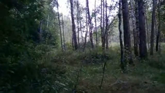 ВИЗУАЛИЗАЦИЯ ЖЕЛАНИЙ и НАПОЛНЕНИЕ