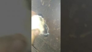 Оцинковка при помощи батареек