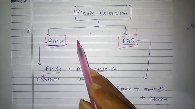 Enzyme(L-8) Msc3rd Chemistry
