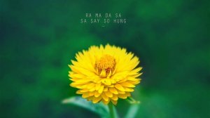 Волшебная исцеляющая мантра Ра Ма Да Са Мантра Медитативная музыка