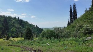 Алматы, поход на гору Мохнатка, не походники в горах. Добротное испытание