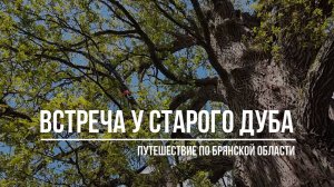 Встреча у старого дуба. Путешествие по Брянской области.