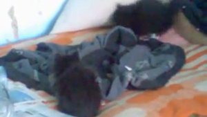 Деревенские коты.mp4