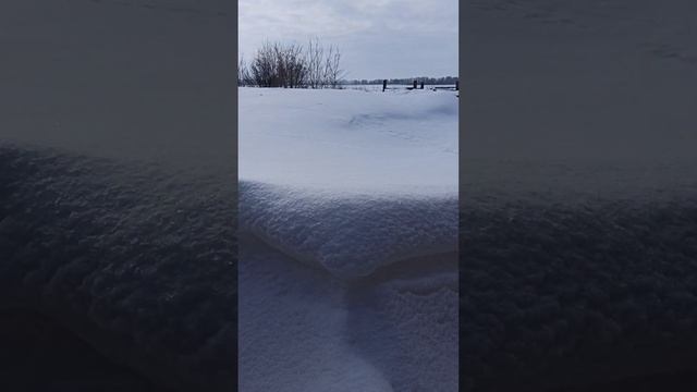 Решил заранее подготовить грядки в огороде к посаде овощей. На дворе март – снега 1,5 метра надуло❄️