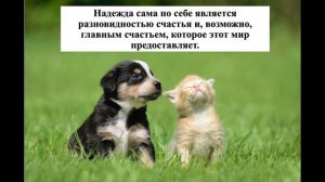 Заряжаемся спокойствием  на весь день/Успокаивающая музыка/Подбадривающие фразы/Музыка для души/