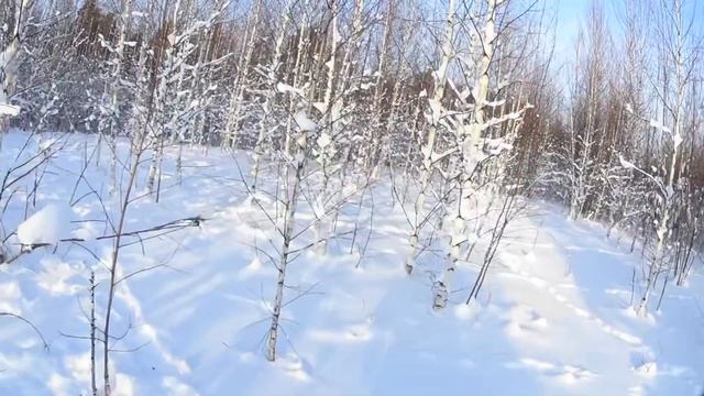 Вот это я попал! Жесть! Как не едет мотособака в целик и что с этим делать.