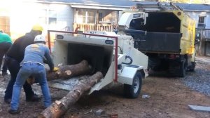 Большие бревна в шепки, сзади моего дома // Mulching big lugs my back yard .