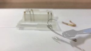 Блёсна на навагу , зубаря