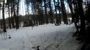 ВПО-136 (Вепрь КМ), стрельба на 40 и 80 метров