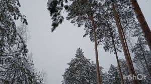 Заметает снег.