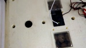 Сравнение инкубатора золушка и несушка