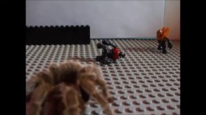 Killer tarantula