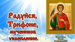 Тропарь святому мученику Трифону (аудио молитва с текстом и иконами)