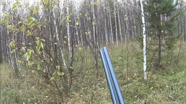 Лучшие моменты и выстрелы на охоте#4. Сезон 2017. Нереальный промах по зайцу.