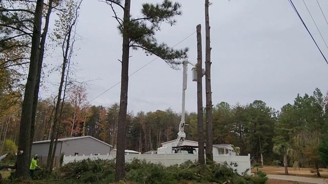 ПИЛЯТ ДЕРЕВЬЯ НА СТРАШНОЙ ВЫСОТЕ / ДЕРЖИСЬ КРЕПЧЕ / АМЕРИКА 2-Я ЧАСТЬ смотреть онлайн