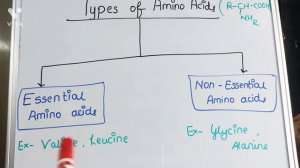 💫Amino acids💯and types | short but important video 🤓|