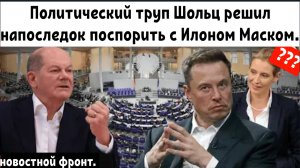 Шольц отвечает на поддержку Маска ультраправых!