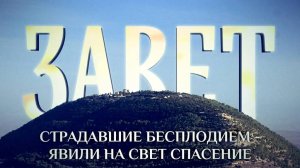 ЗАВЕТ. СТРАДАВШИЕ БЕСПЛОДИЕМ - ЯВИЛИ НА СВЕТ СПАСЕНИЕ