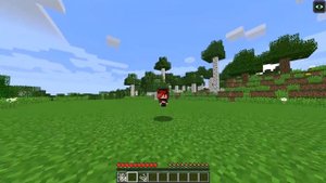 КАК МЕНЯЛАСЬ ДЕВУШКА ПАУК И ЕГО ЖИЗНЕННЫЙ ЦИКЛ ПАУК ДЕВУШКА В МАЙНКРАФТ ЭВОЛЮЦИЯ И ТРОЛЛИНГ МУЛЬТИК