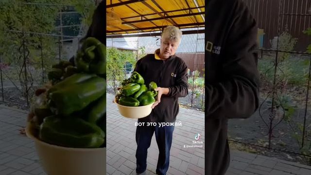 Сколько фаршу пойдёт?