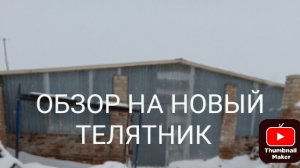 Обзор нового телятника спустя 2 месяца