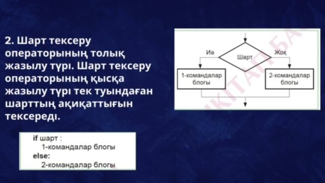Тармақталған алгоритмдерді программалау
