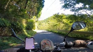 HONDA Dunk 2023/10/21①