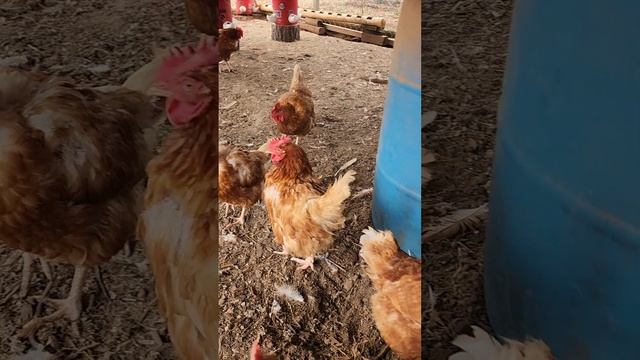 December 9, 2024 смотреть онлайн