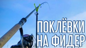 Поклевки на фидер. Как клюет на фидер лещ, язь, карась.