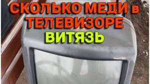 Сколько меди в телевизоре ВИТЯЗЬ. Деньги из мусора