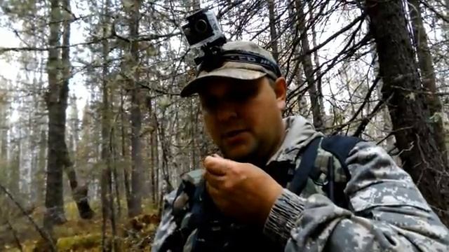 Охота. Заметки охотника #6. За рябчиком с манком. Бекас. Работа русского спаниеля. Hunting in russia