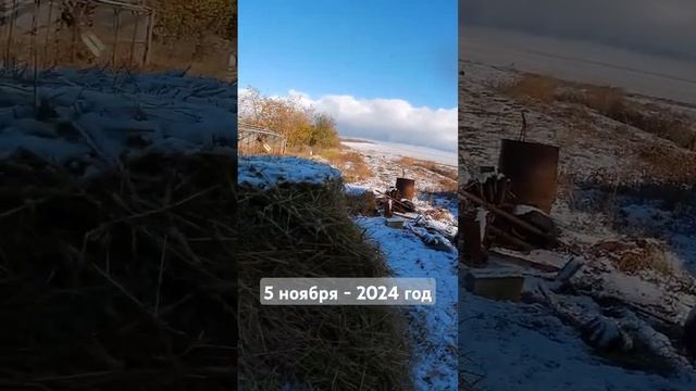 Первый снег❄️. 5 ноября 2024 год. Телеграмм - DanilaFermer #shorts #automobile #farmlive #деревня